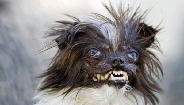 Конкурент демпингует? Найдем решение: 35 советов Конкурент демпингует? Найдем решение: 35 советов